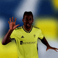 Major League Soccer Football GIF by Nashville SC