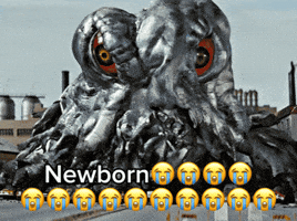 Son Godzilla GIF