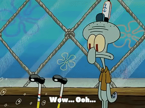 season 3 missing identity GIF by SpongeBob SquarePants