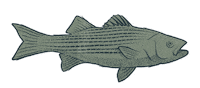 Sticker by Traeger Grills