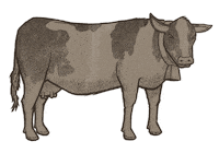 Sticker by Traeger Grills