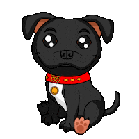 Staffordshire Bull Terrier Staffy Sticker by SBT1935