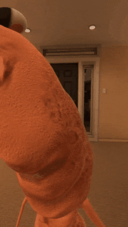 Robert Marcus GIF