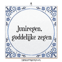 Wijsheid Spreuk Sticker by Tegelspreuken.nl