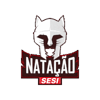 sesisaopaulo esporte jogo torcida natacao Sticker