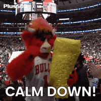 Calm Down Chicago Bulls GIF by Plus500