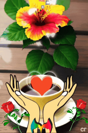 Tiene Para Ti GIF by Murcianys LLC