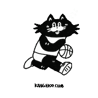 고양이 Sticker