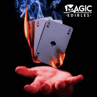 Magic Hands GIF by Exclusive Brands