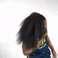 Basketball Hair Flip GIF by Indiana Fever