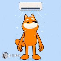 Gm Solana GIF by BONK
