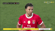 Sl Benfica Slbgif GIF by Sport Lisboa e Benfica