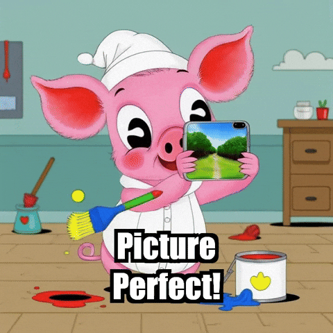 Picture Perfect Photography GIF by The Pigasso