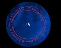 daniellexdesignco daniellexdesignco dxdco GIF