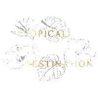Travel Wedding Sticker by SunloverTravel
