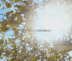 ohsosocialmarbella marbella marbs costadelsol ohsosocialmarbella GIF