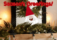 Merry Christmas GIF