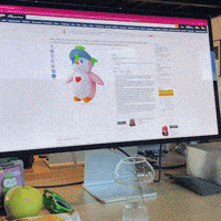 Collect Amazon GIF by Pudgy Penguins