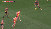 adelaidecrows 2019 afl adelaide crows round five GIF