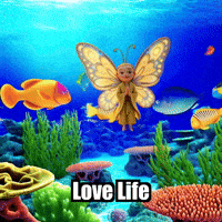 Love Life GIF by BuddhaFlyJourney