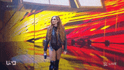 Sport Wwe GIF by USA Network