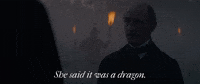 She Said It Was A Dragon 