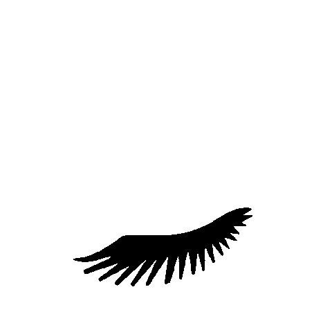 Eyes Lash Sticker by The Social Impact