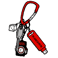 Usb Keychain Sticker by Sandisk