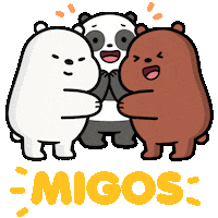 Panda Amigos Sticker by Cartoon Network Brasil