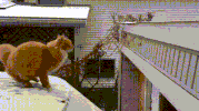 GIF by Demic