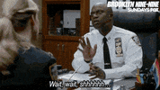 brooklyn nine nine GIF by Fox TV
