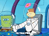 season 8 spongebob's runaway roadtrip: mooncation GIF by SpongeBob SquarePants