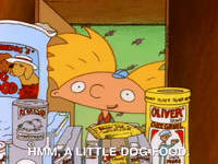 heyarnold nicksplat hey arnold GIF