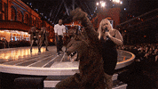 leonardo dicaprio GIF by mtv