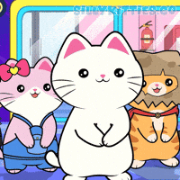 Happy Cat GIF by Silly Kitties