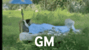 Crypto Gm GIF by OKX