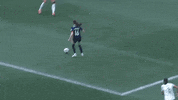 Womens Soccer Sport GIF by National Women's Soccer League