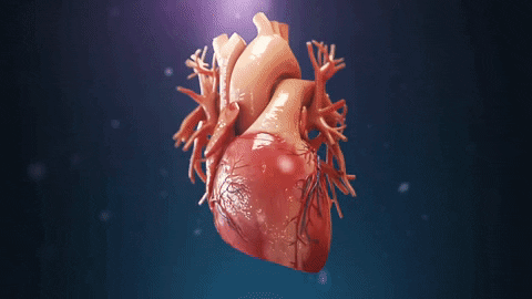 christoph-6108 giphygifmaker GIF