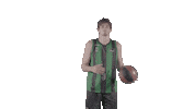 Liga Endesa Basketball Sticker by ACB