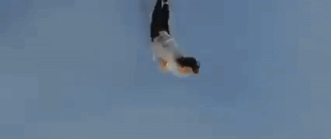 kung fu GIF