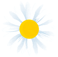 sun pays Sticker by Friesland Campina