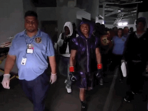 toprank giphyupload fight boxing fighting GIF
