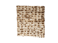 Tel Aviv Israel Sticker by Marcel Katz / The Art Plug