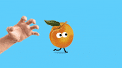 Orange Mandarin GIF by Studio Hello