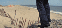 jaws GIF by hero0fwar