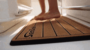 seadek  GIF