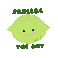 Bakeyshop green lime limes key lime Sticker