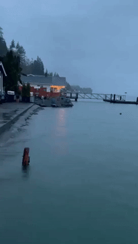 'Highest Tide I've Ever Seen': Water Threatens Houses in Pacific Northwest During King Tide
