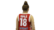 Basketball Hoops Sticker by Basket_fi
