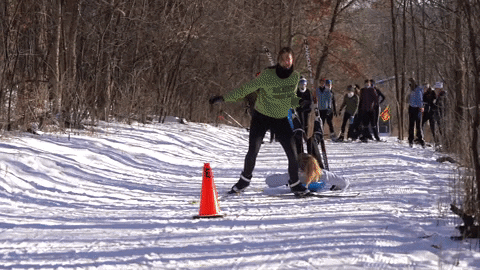 jahlquist giphyupload GIF